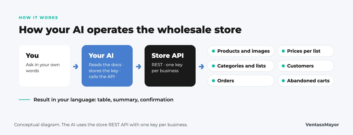 Diagram: how the AI operates the wholesale store; the owner asks in plain language, the AI reads the docs and calls the store API, and touches products, prices per list, categories, customers, orders and abandoned carts