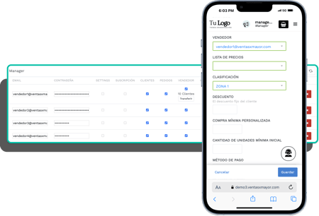 Wholesale sales team management system with automatic commissions